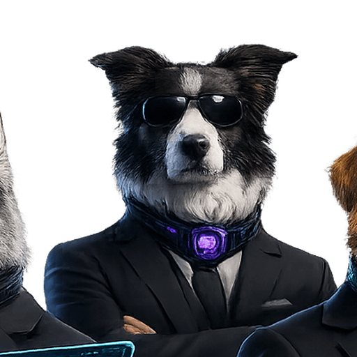 Collie